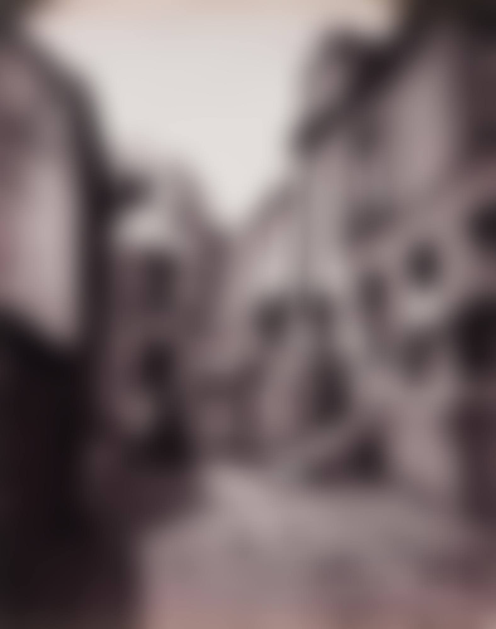 Cour, rue Voltaire, Sceaux (preview)