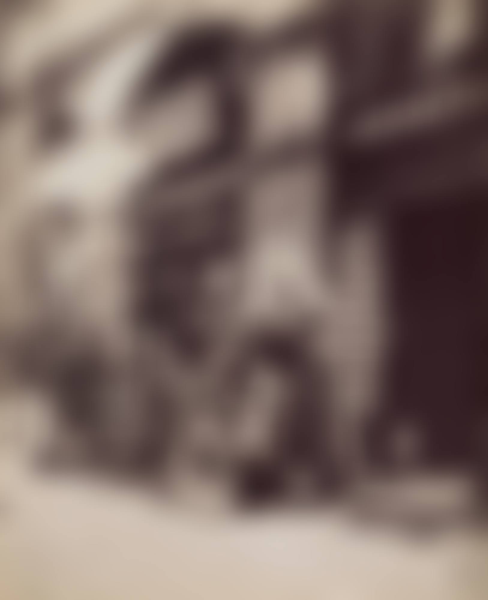 Boutique d"apiculture, Quai de la Mégisserie (preview)