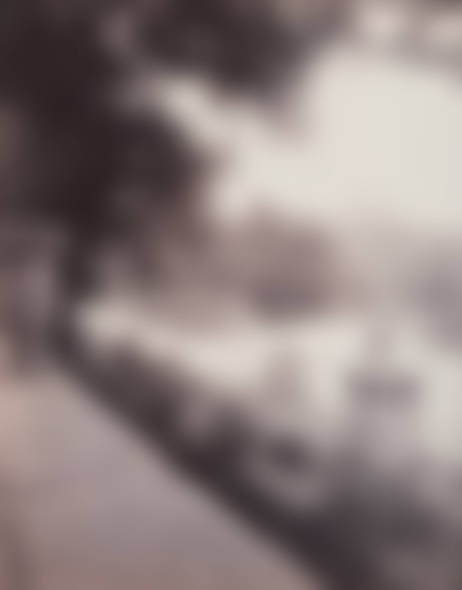 Selected Images of Jardin du Luxembourg (2 Photographs) (preview)