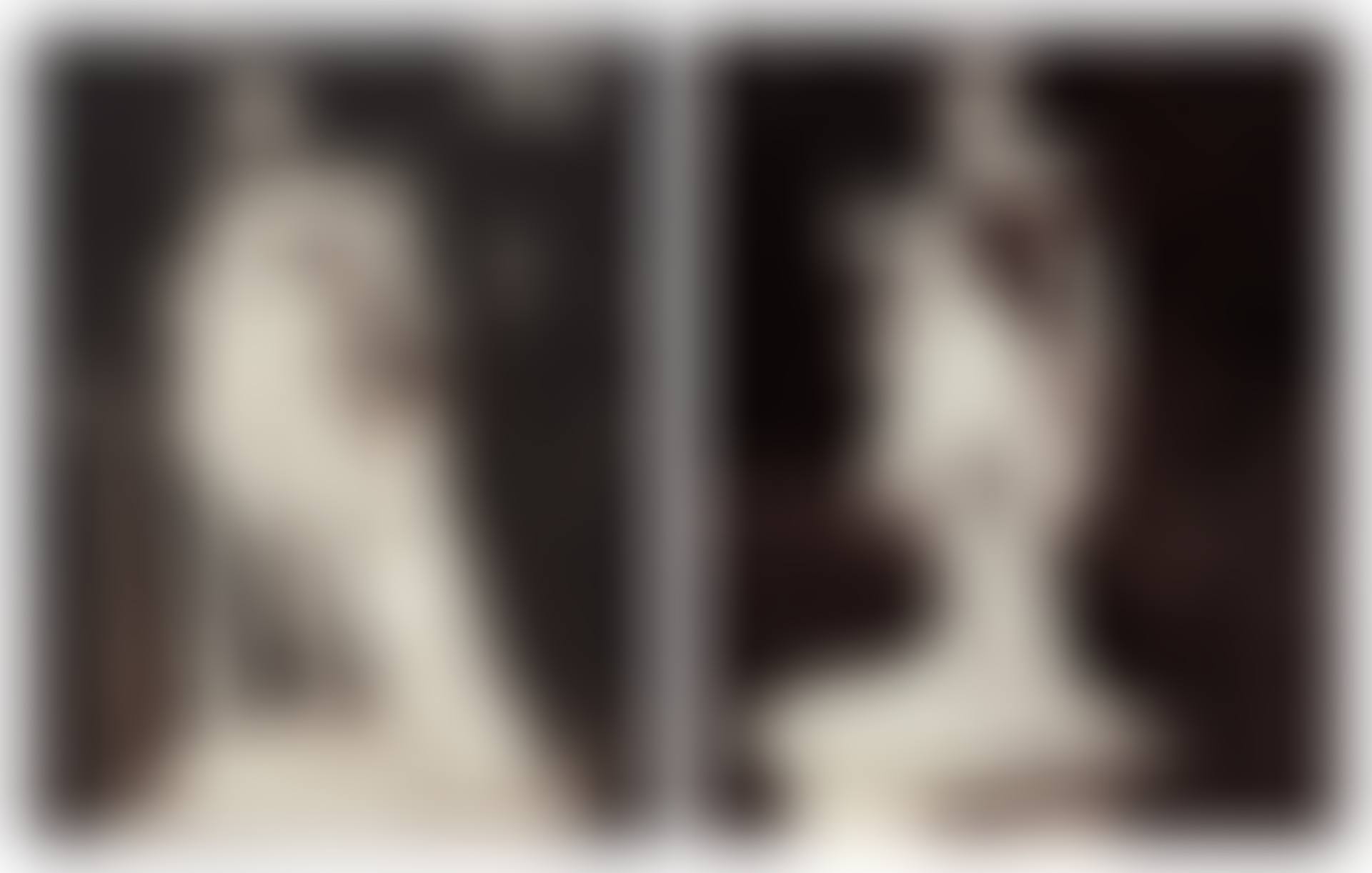 Selected Images of Jardins du château de Versailles (2 Photographs) (preview)