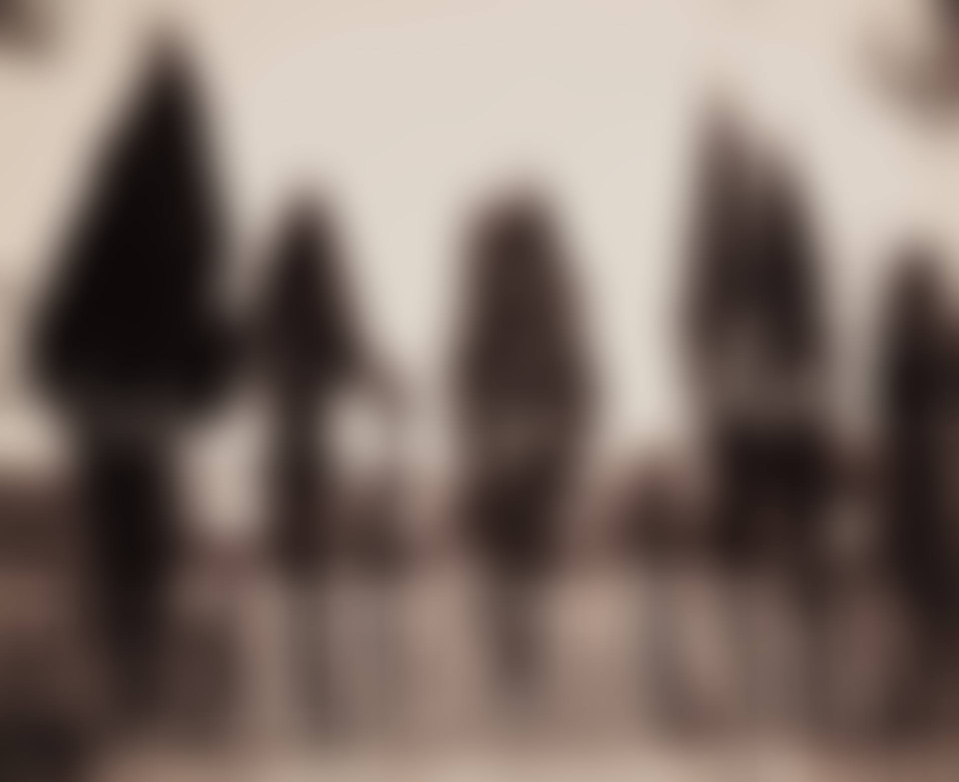 Cyprès (Fontenay) (preview)