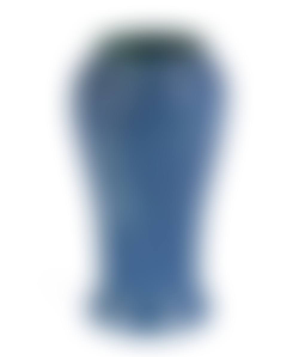 BLUE ART POTTERY VASE (preview)
