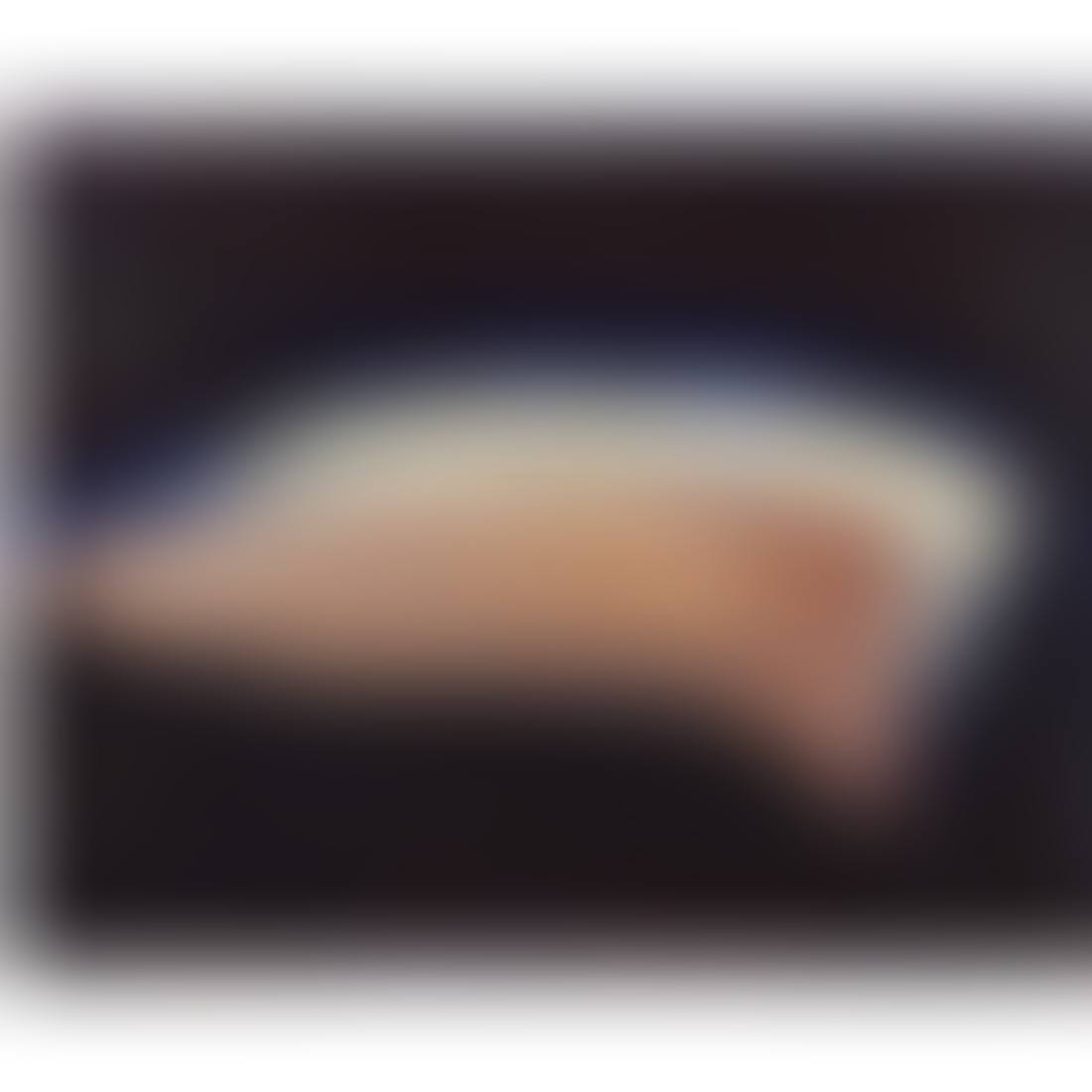 Untitled from the "Windhover" series (preview)