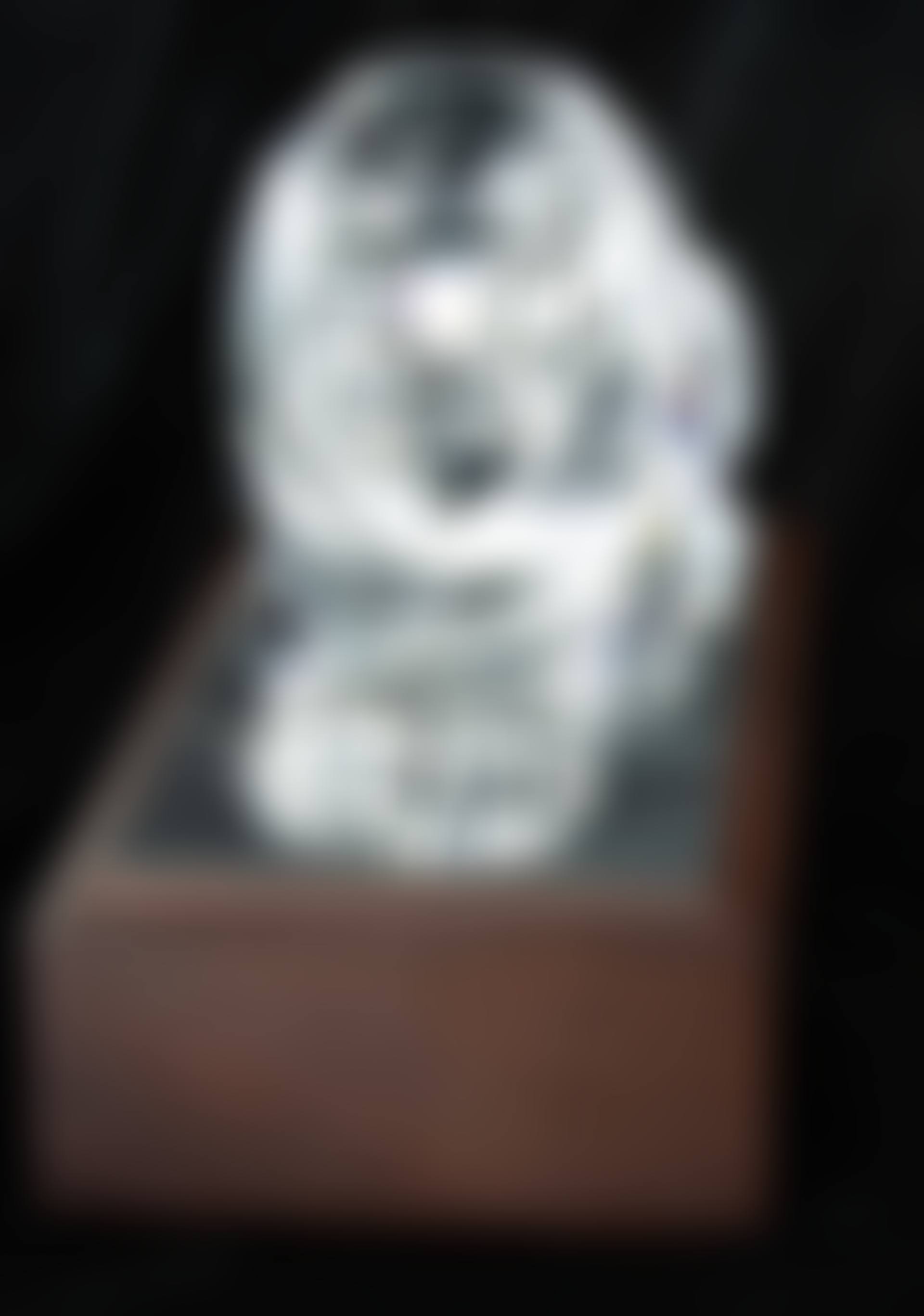 lion sculpture (preview)