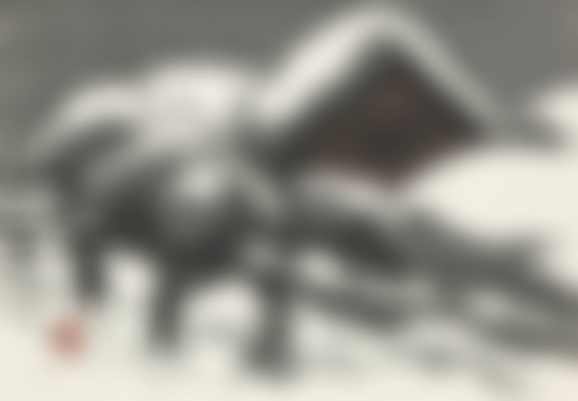 Winter in Aizu (preview)