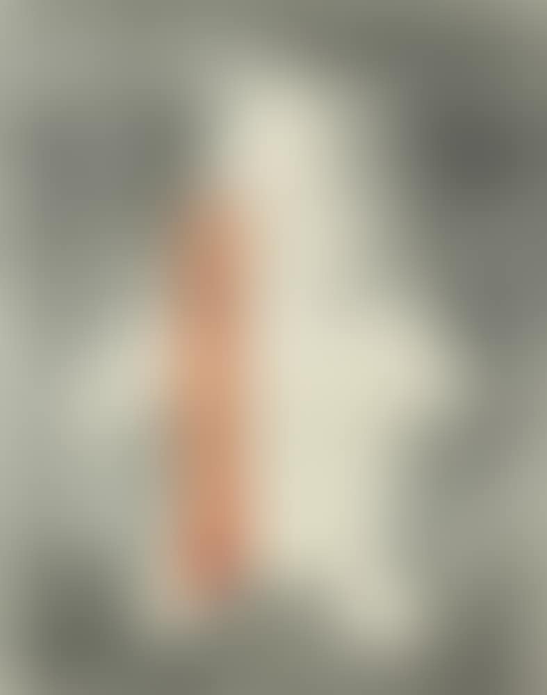 The Pre-Columbian Idols Series (preview)