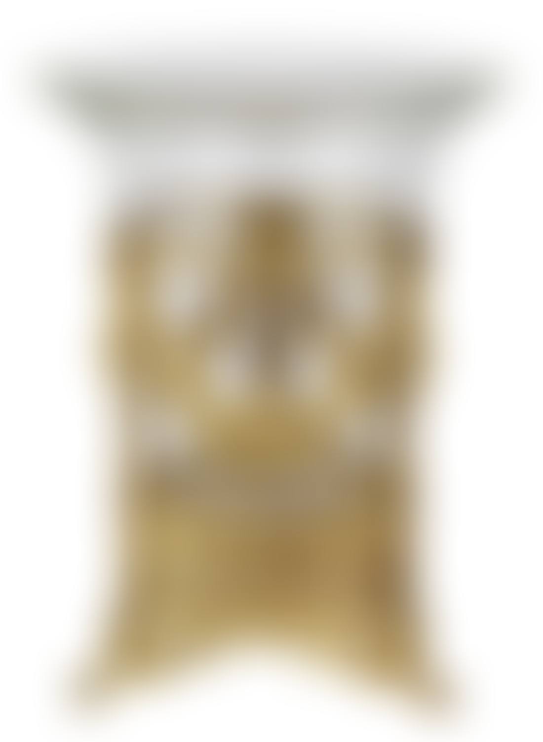French ormolu mounted vase (preview)