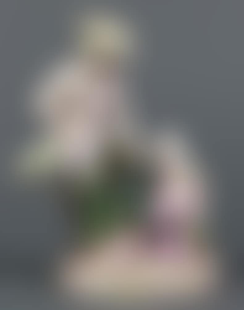 Satyr Feeding its Young (preview)