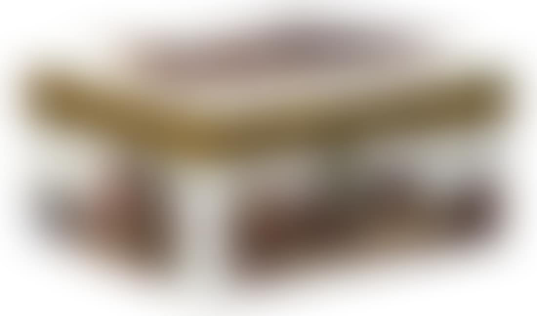 gilt silver mounted snuff box (preview)