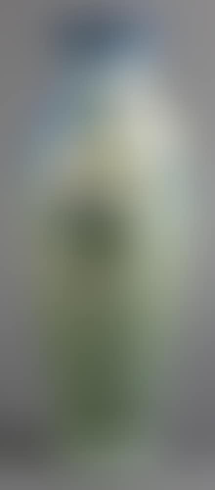 Vase (preview)