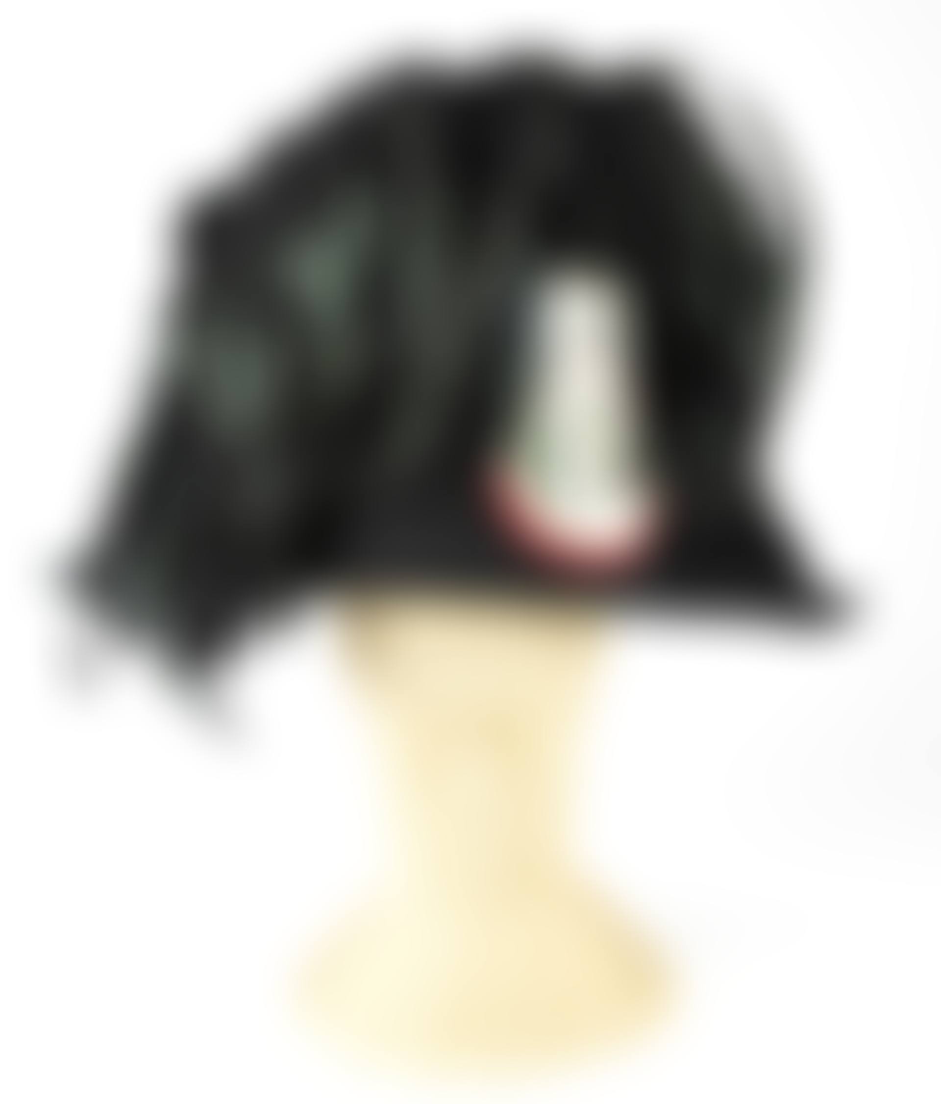 An Italian Royal Carabinieri hat (preview)