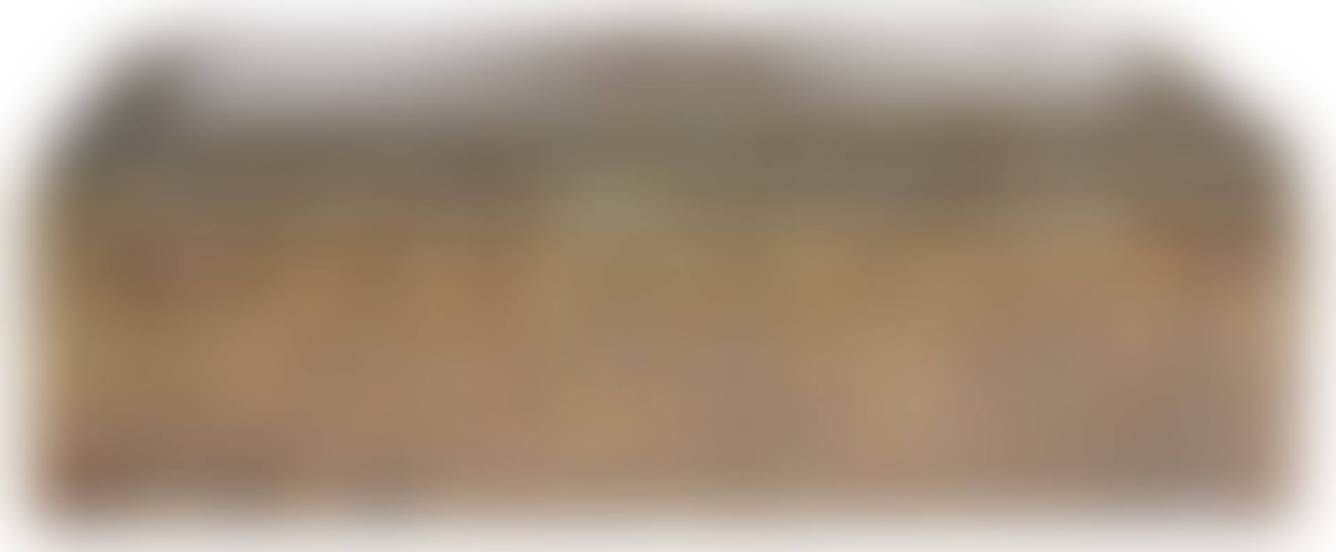 A Tiffany Studios, New York (preview)