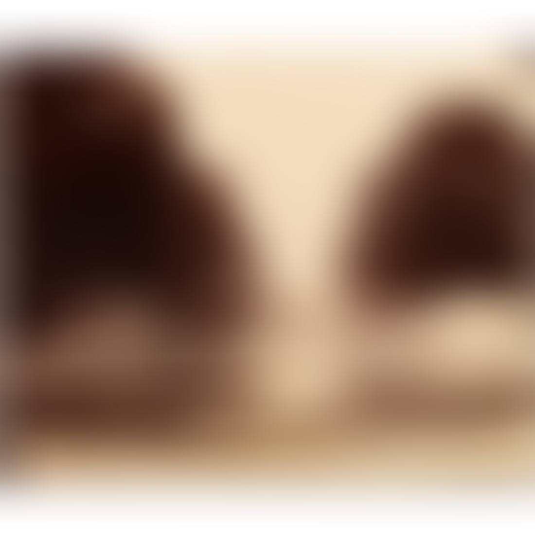 "Terrace Staircase, Parc St. Cloud" (preview)