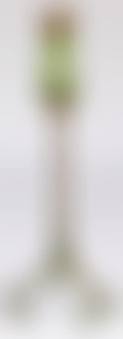 Organic Root candlestick (preview)