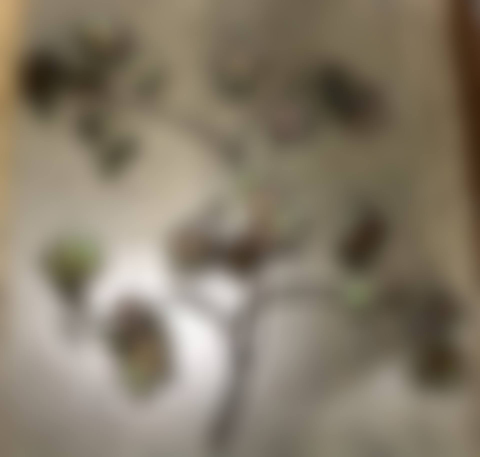 Wall relief sculpture (preview)