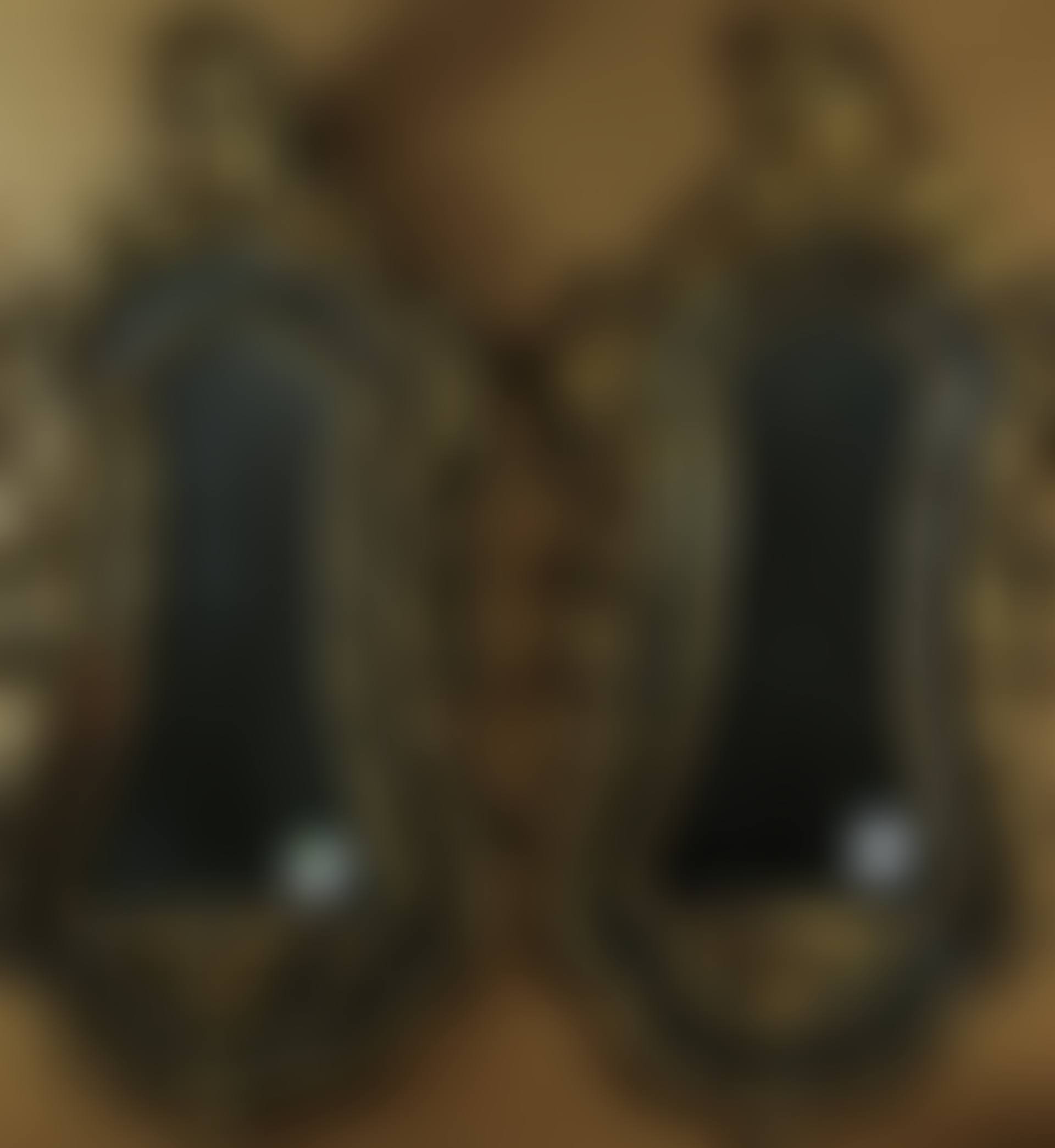 A pair of Italian giltwood mirrors (preview)