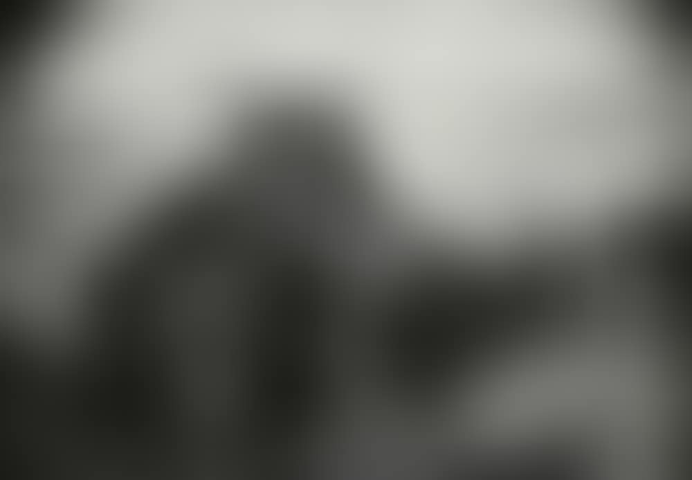 Untitled (California Foxtail) (preview)