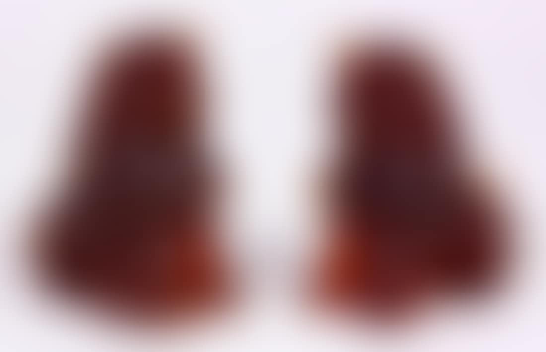 Foo lions (preview)