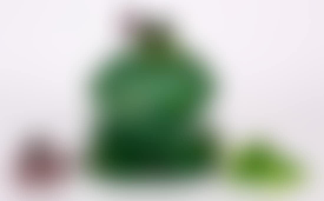 Frogs (preview)