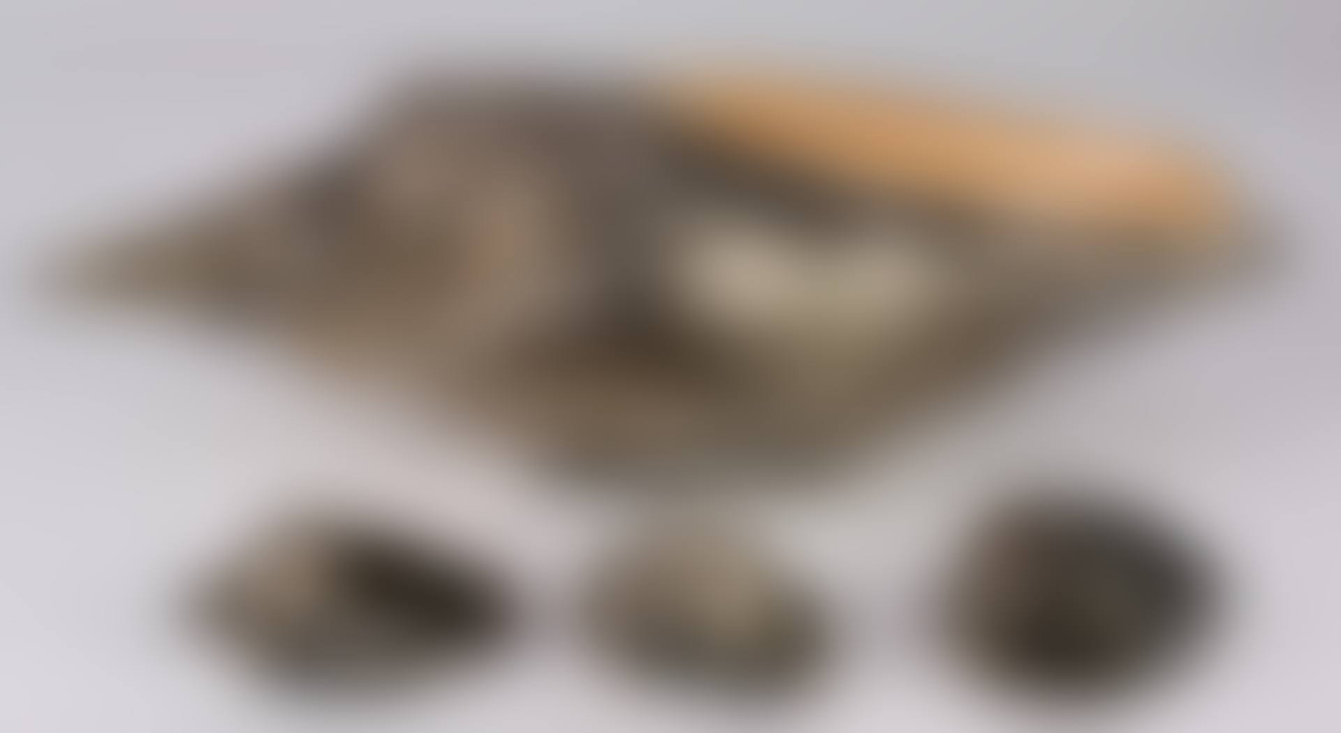 Italian silver overlaid shells (preview)