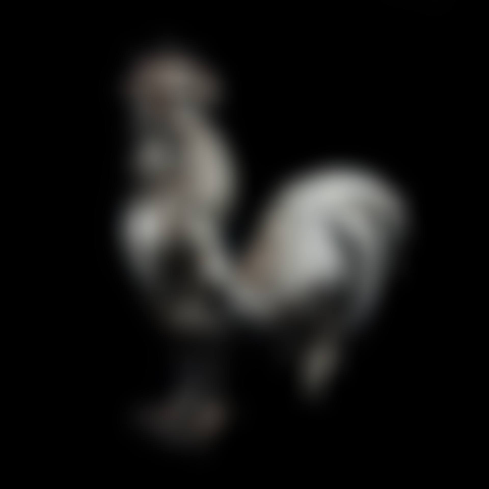 An Italian .925 silver figure of rooster (preview)