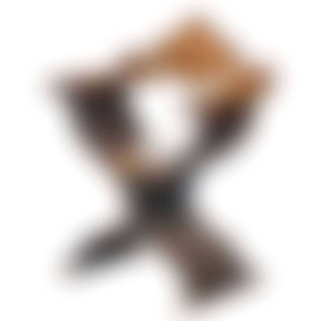 An Italian Savonarola inlaid chair (preview)
