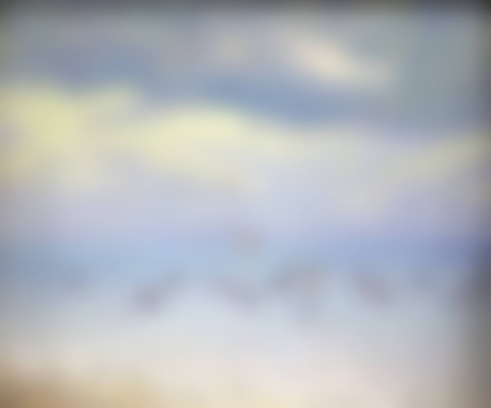 Untitled (Ducks on a Lake) (preview)