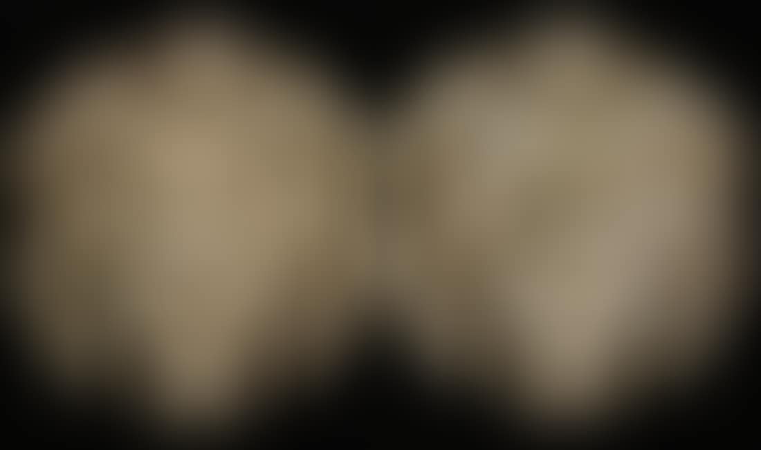 Pair of lionhead architectural elements (preview)