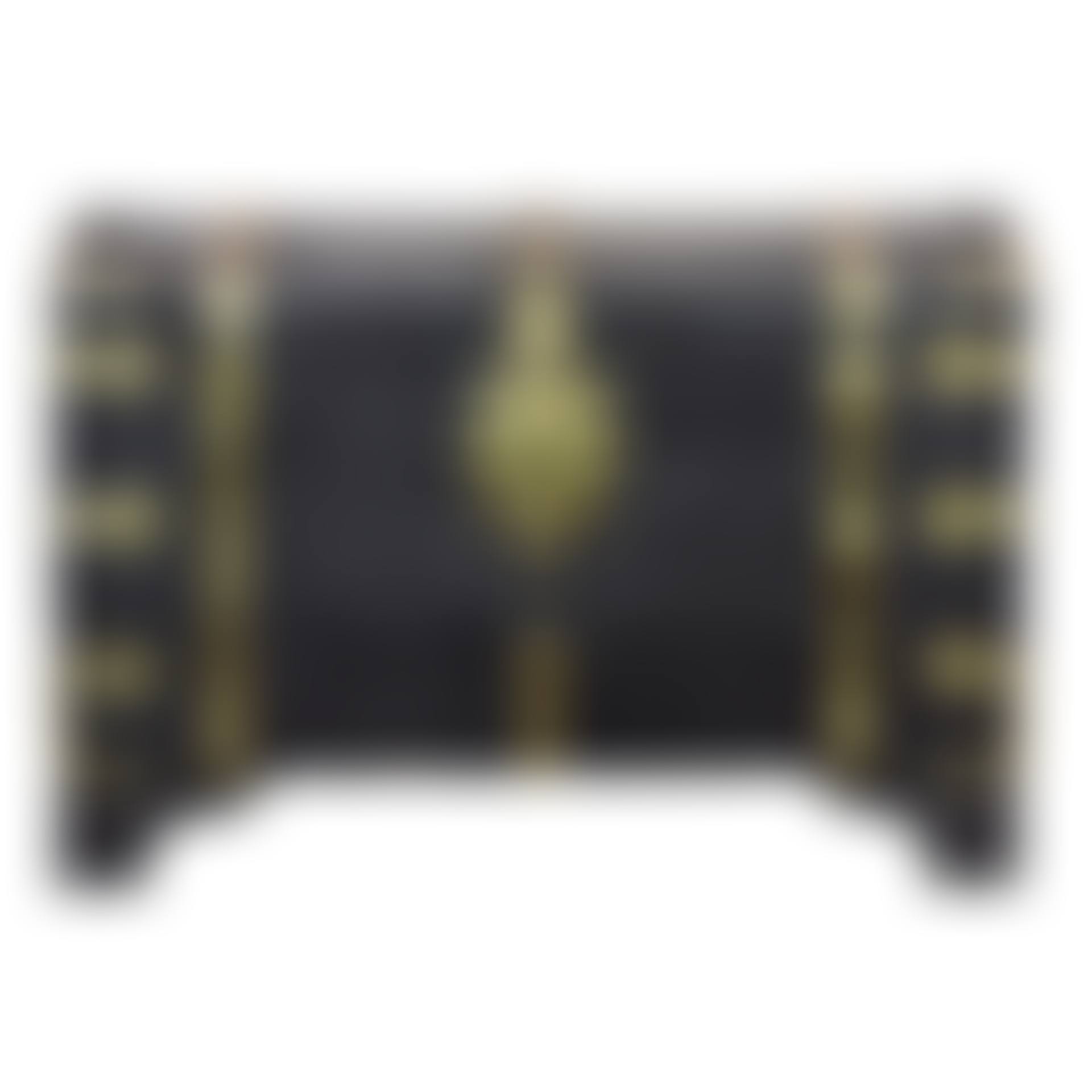 A German leather and brass chest (preview)