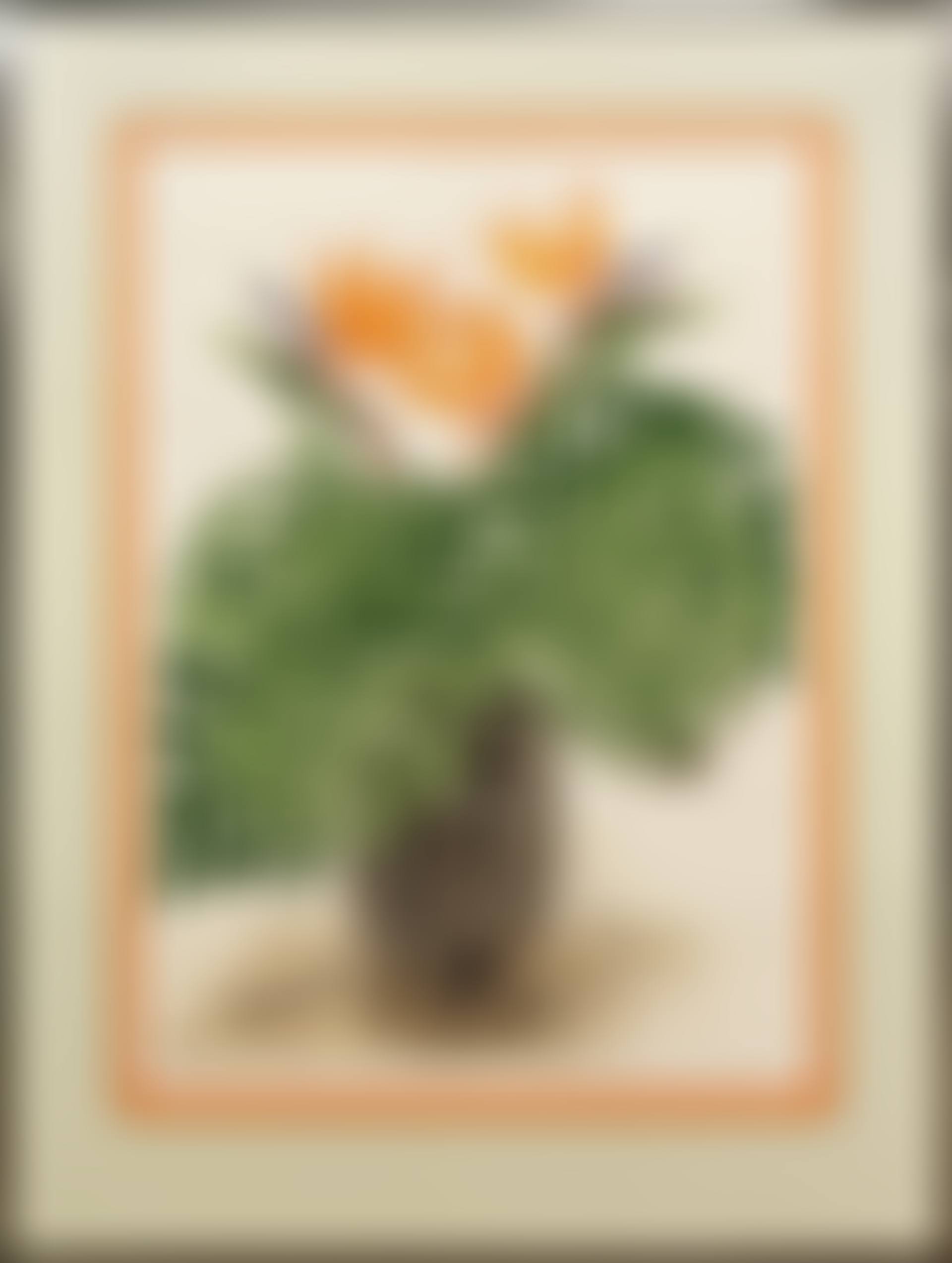 "Bird of Paradise" (preview)