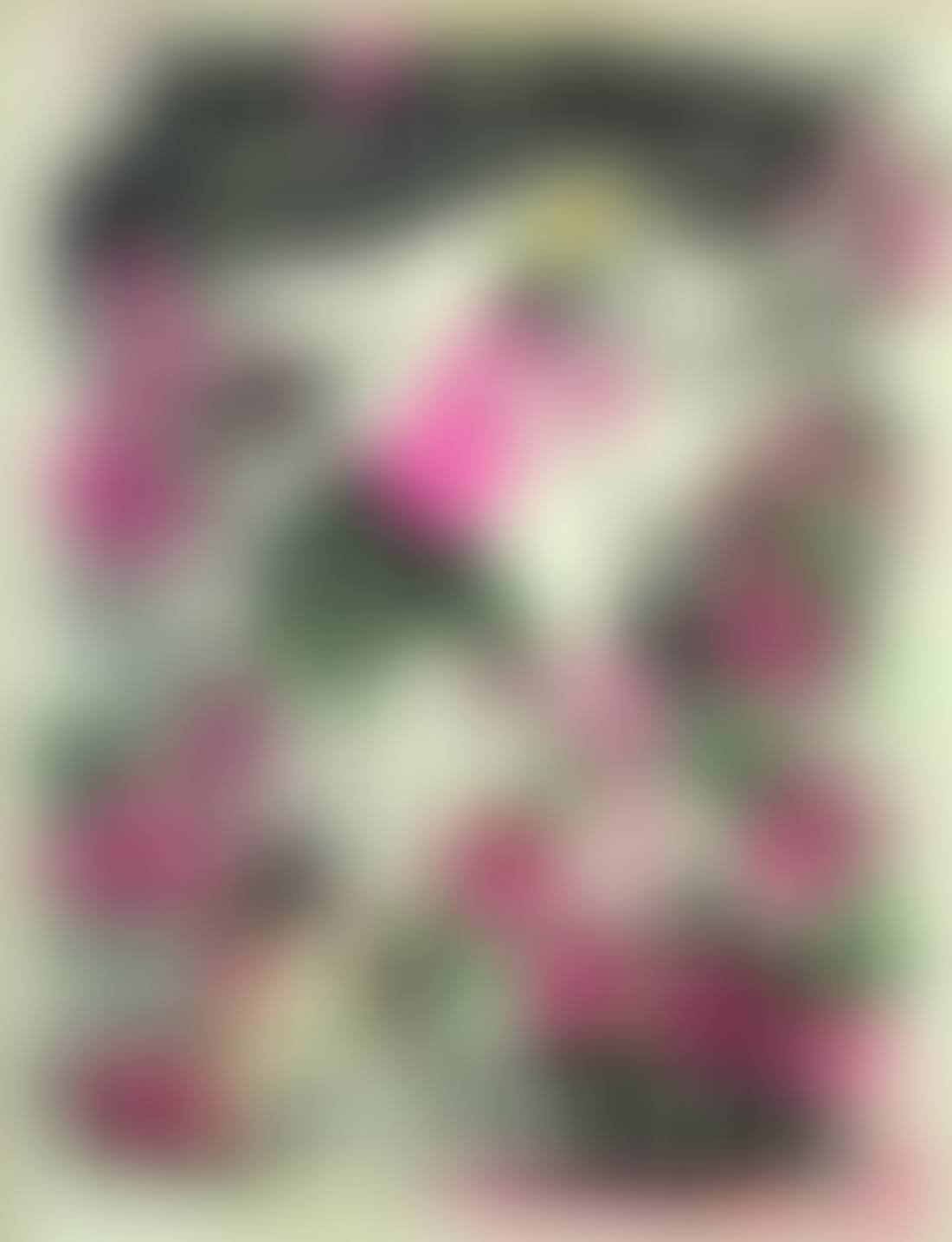 "Your Bicycle Life is Wonderful" (preview)