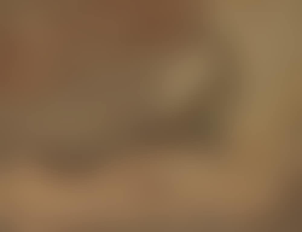"Provincetown Wing II" (preview)