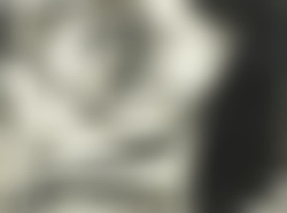 Untitled (Reclining Nude) (preview)