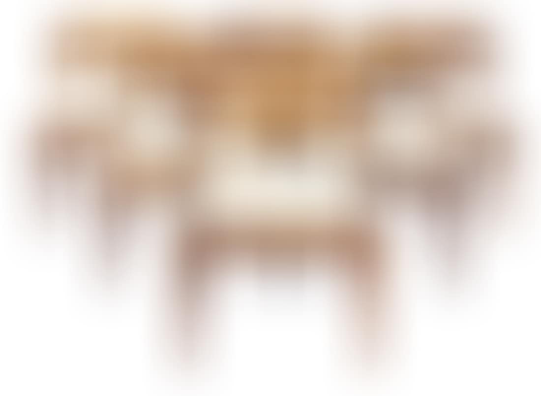#301 dining chairs (preview)