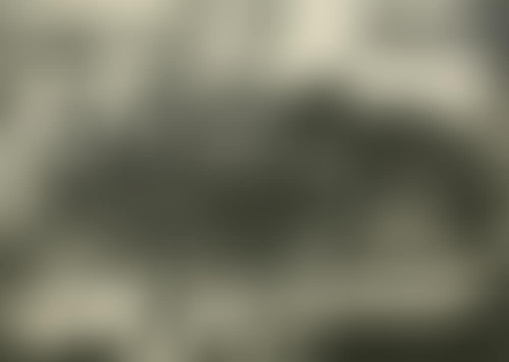 Dead Bug (preview)