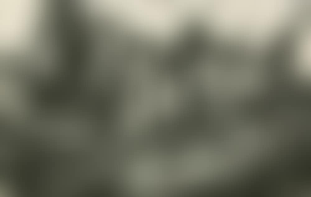 Dying Insect (preview)