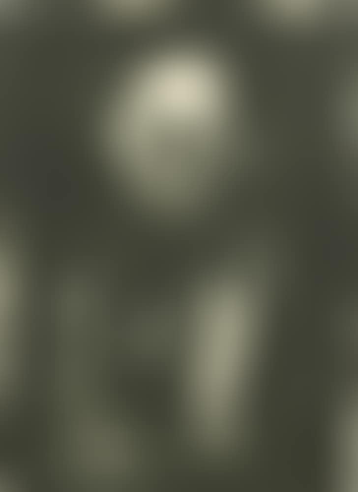 "The Elder" (preview)