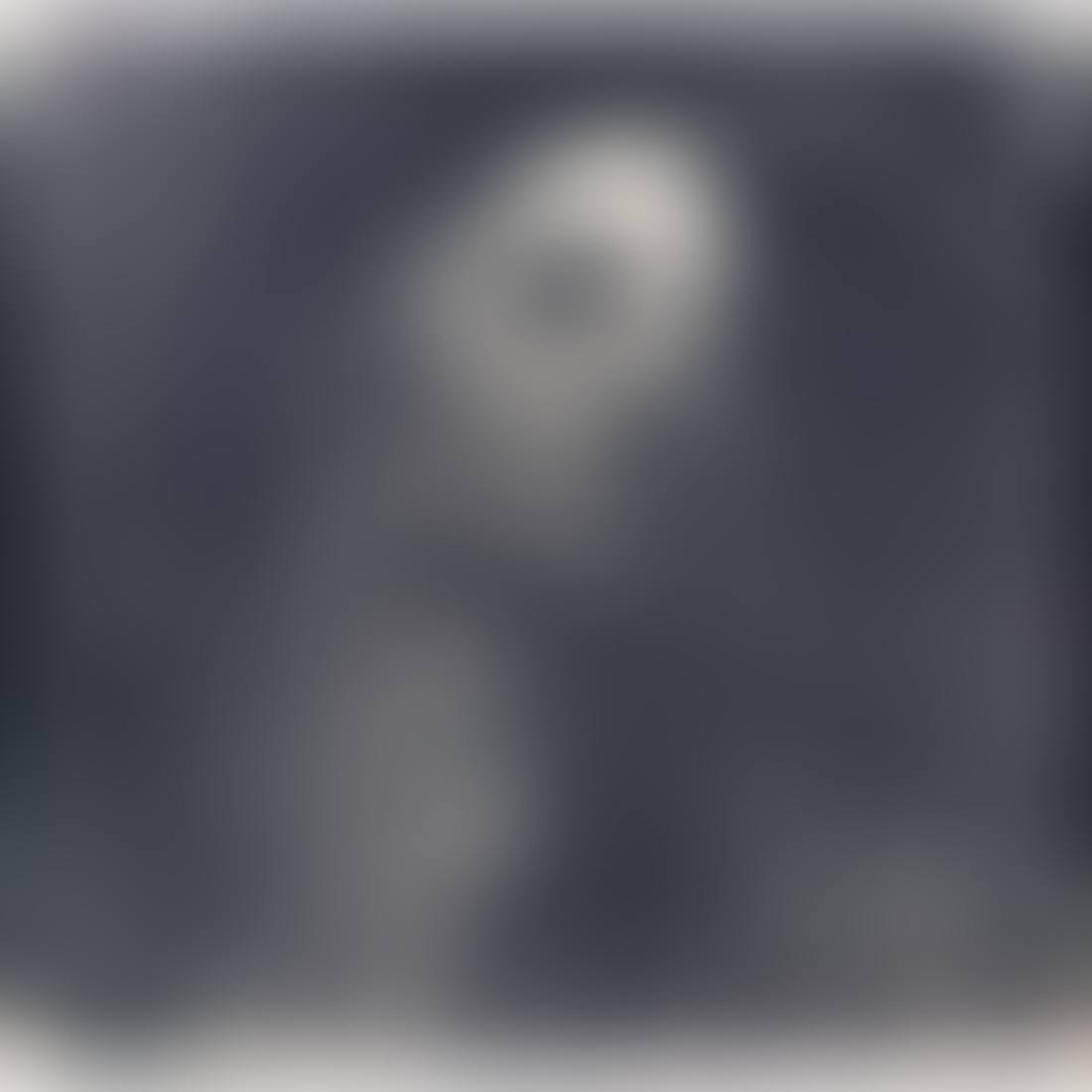 Head of a Woman (preview)