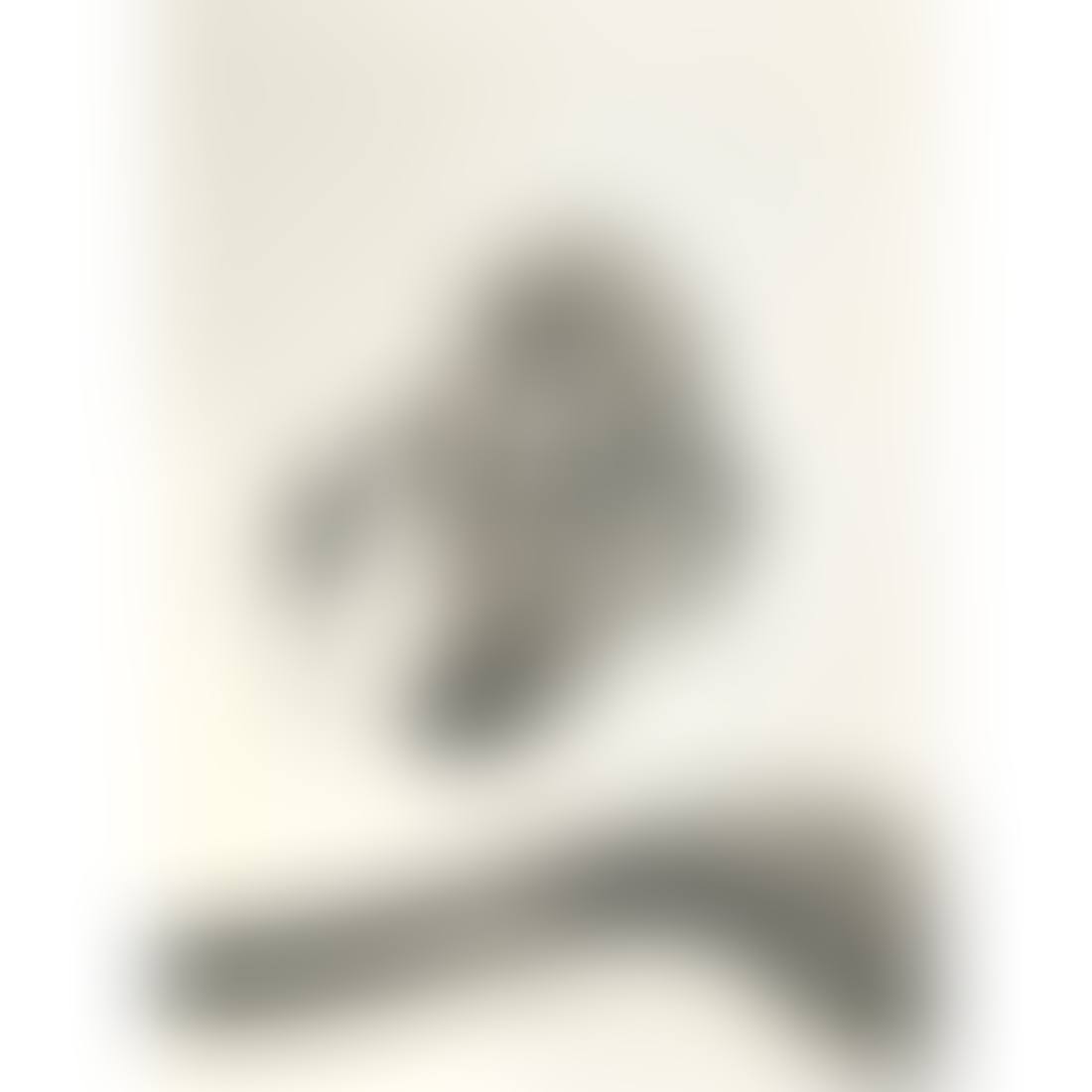 Untitled (Profile) (preview)