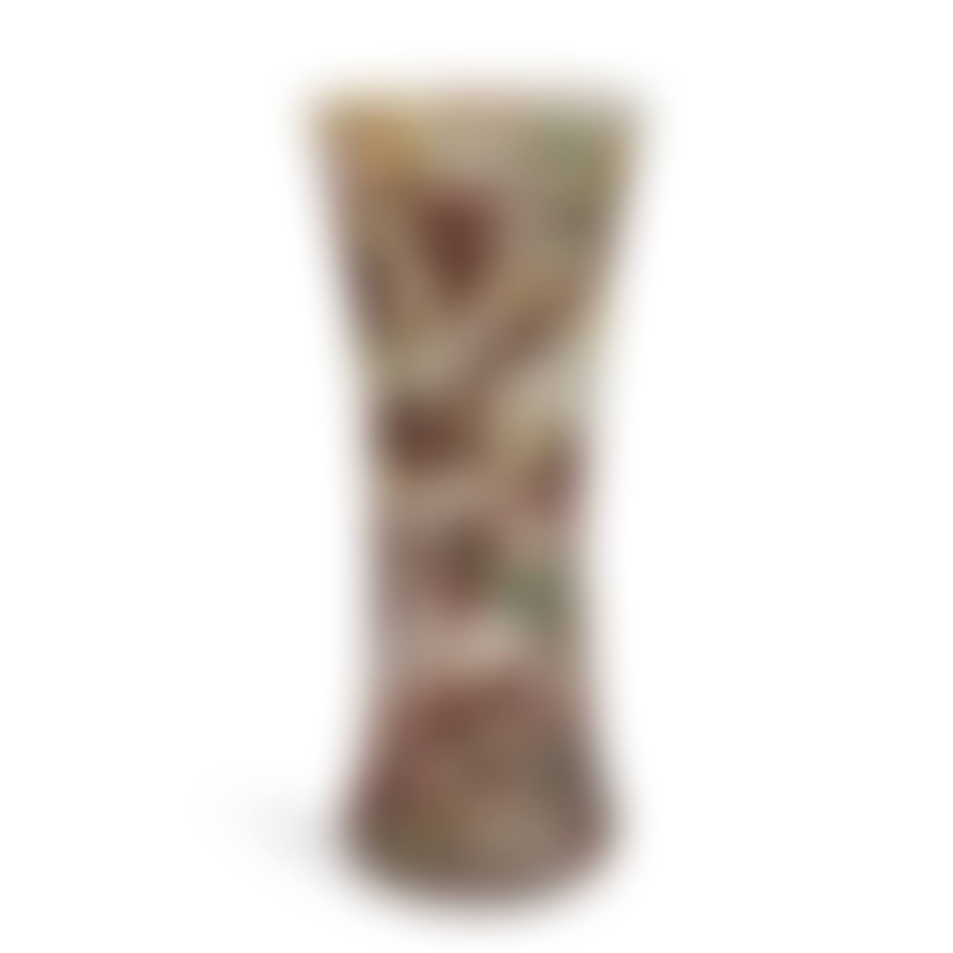 DAUM CAMEO VITRIFIED GLASS VASE WITH ROSE BRANCHES (preview)