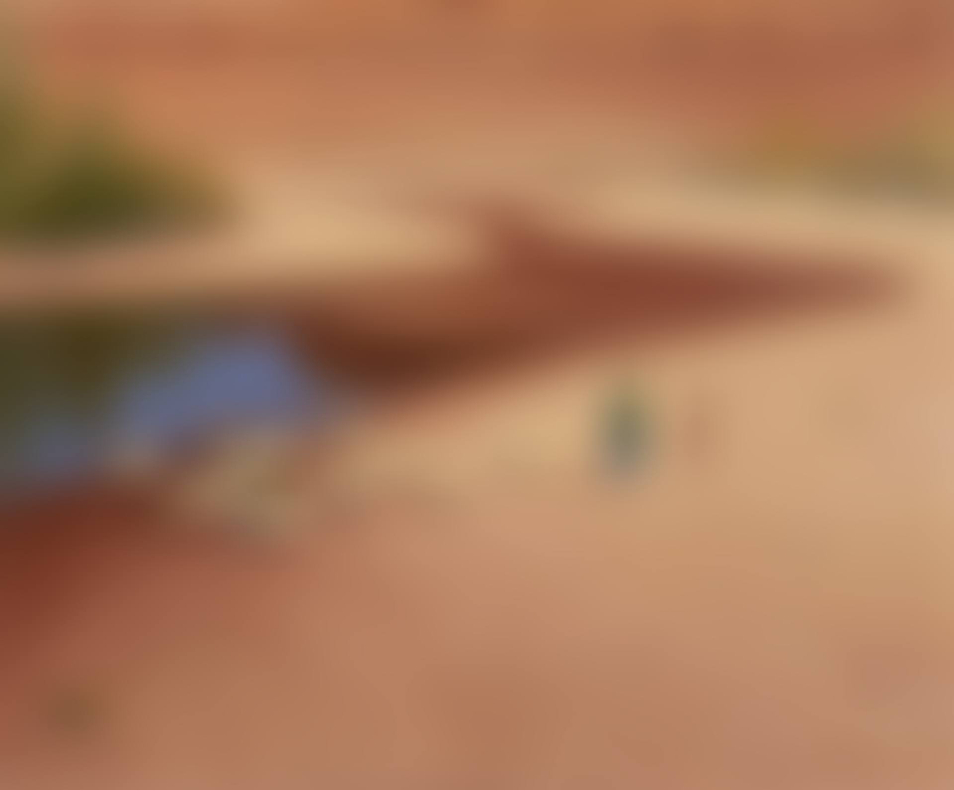 Sheep in the Riverbed (preview)