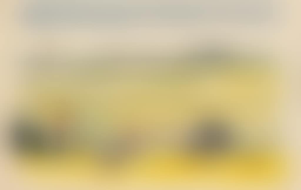 Two on the Beach (preview)