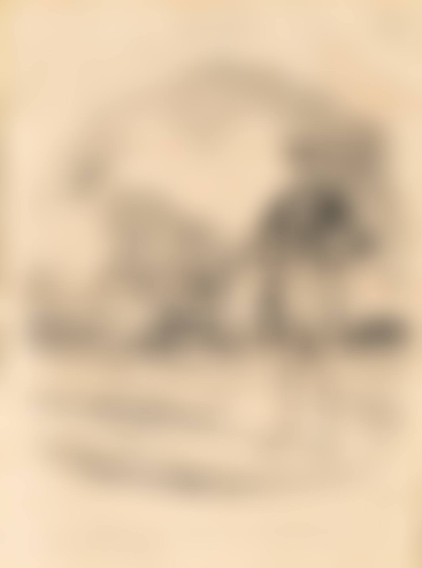Set of Seven Lithographs; Merci! Ce Monsieur M"Invite à Chasse; Oh!...Un faisan!... (preview)