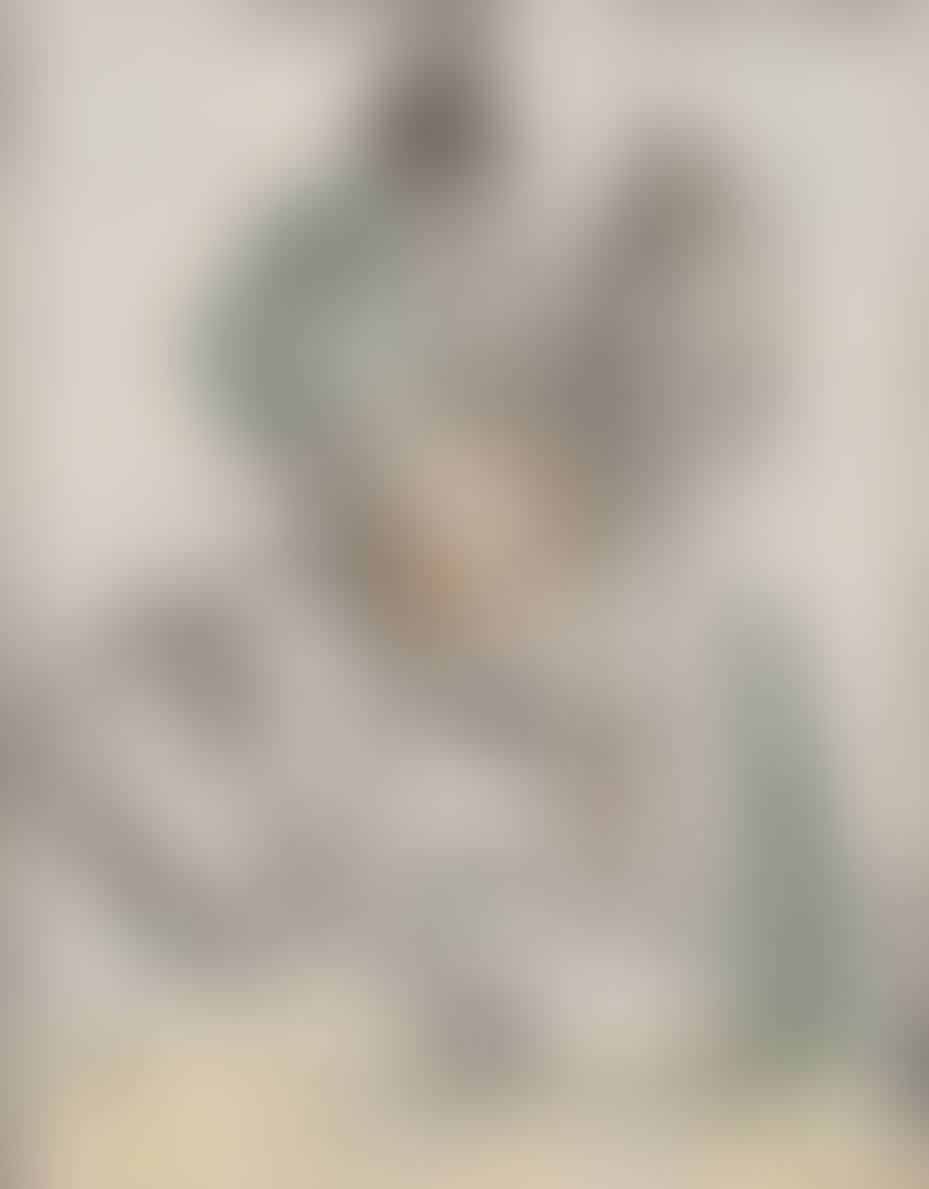 Untitled (Caballero on Horse) (preview)