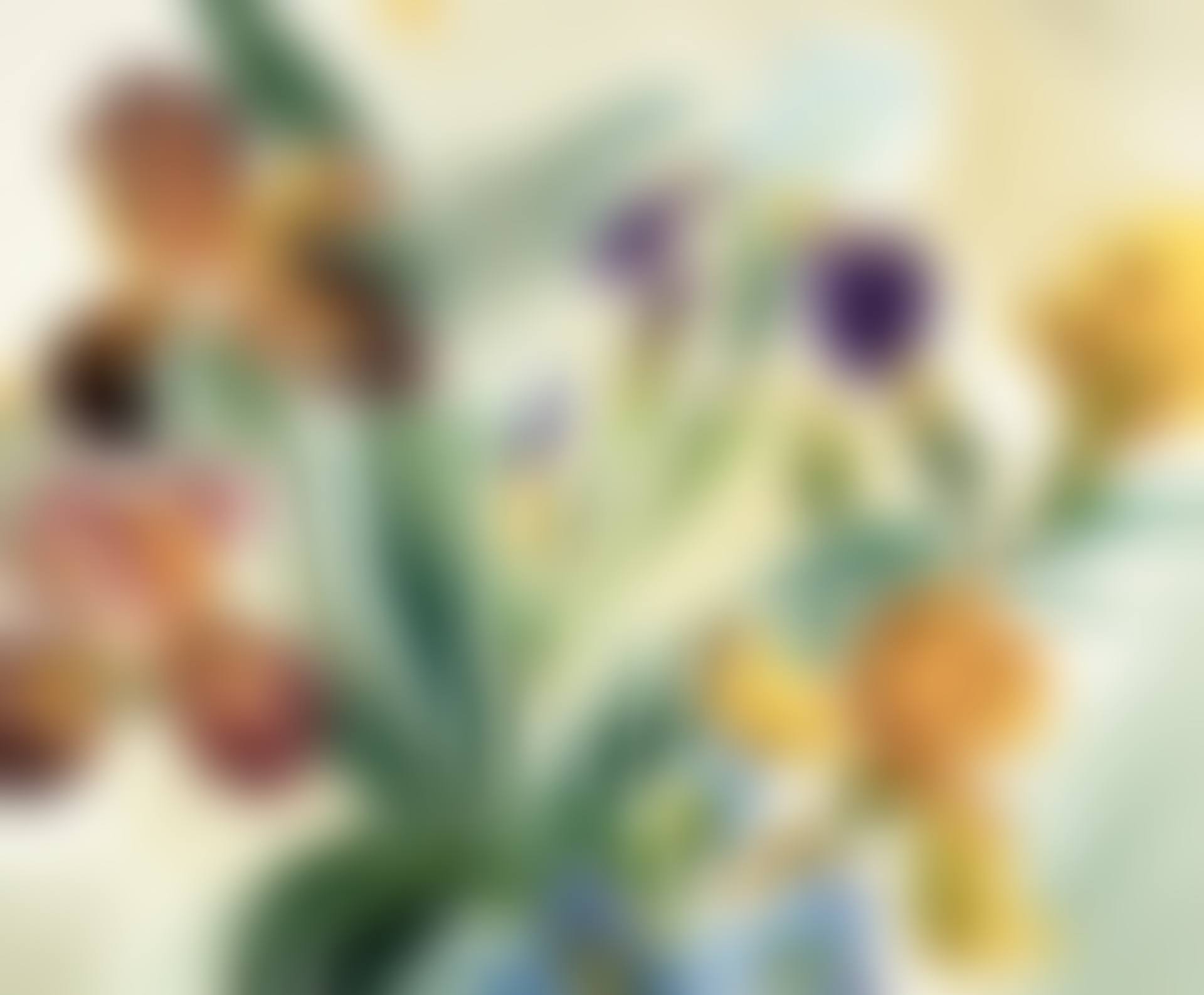 Taos Iris Group (preview)