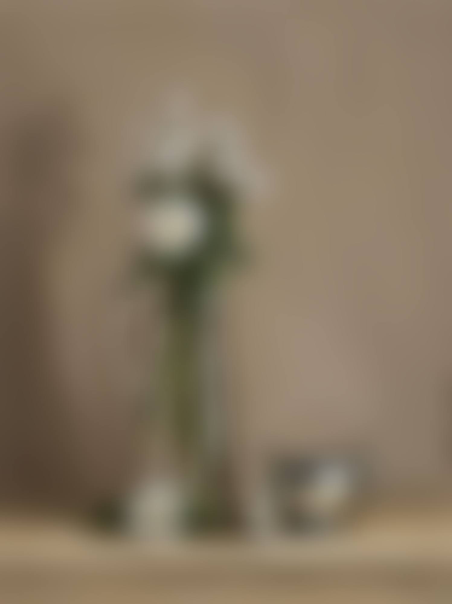 Still Life with Daisies and Portrait (preview)