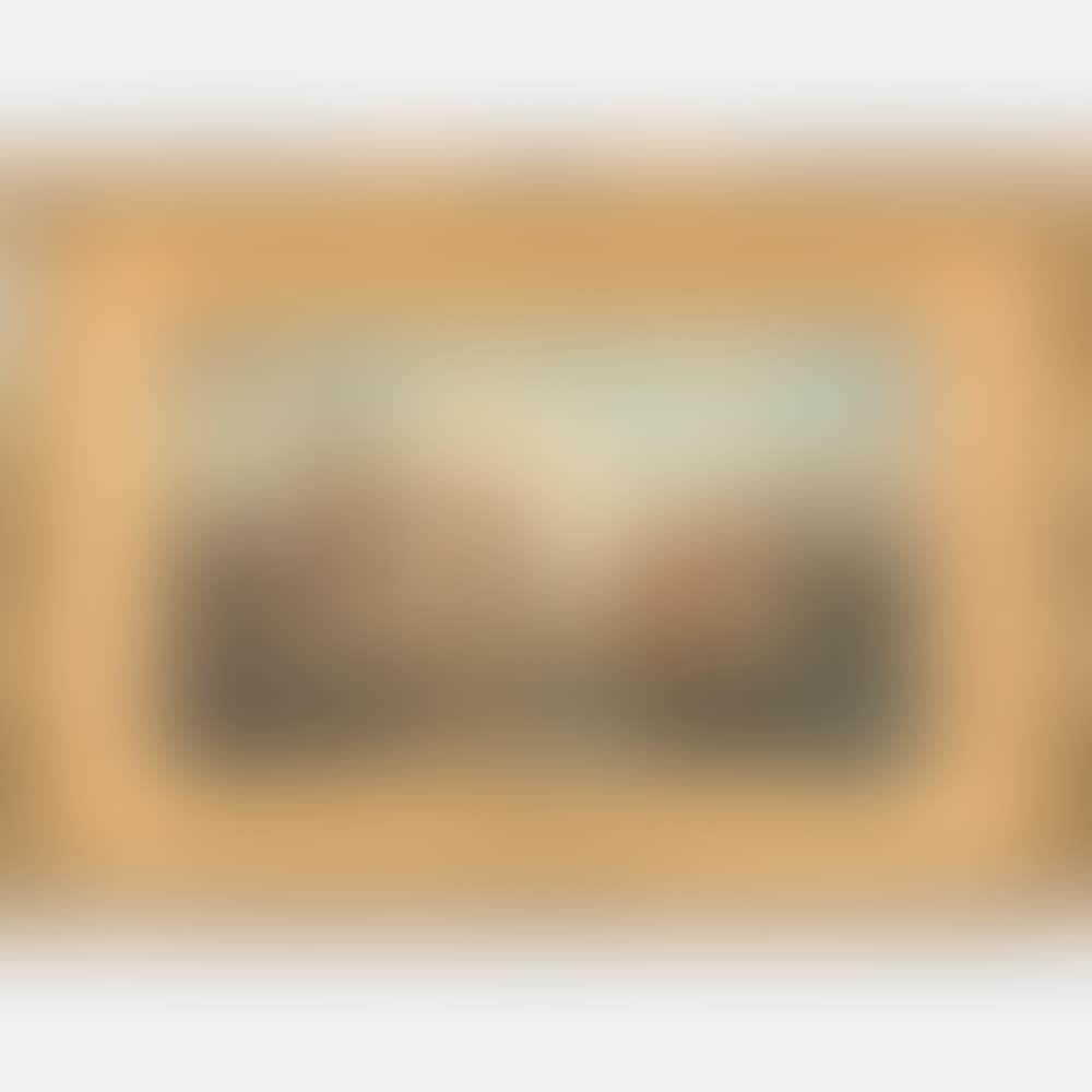 Dutch Canal Scene (preview)