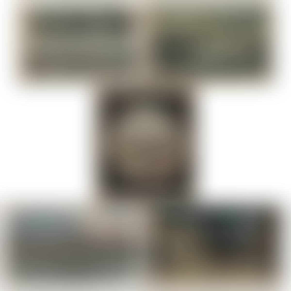 "A Street Lighted by Natural Gas at Findlay, Ohio" by Charles Graham, "Sandusky City, Ohio", "Glimpse of Sandusky, from St. Paul"s Church" by J.D.W., "Toledo, O." published by Charles Magnus, and "Harbor of Toledo/Public Square, Newark" (preview)