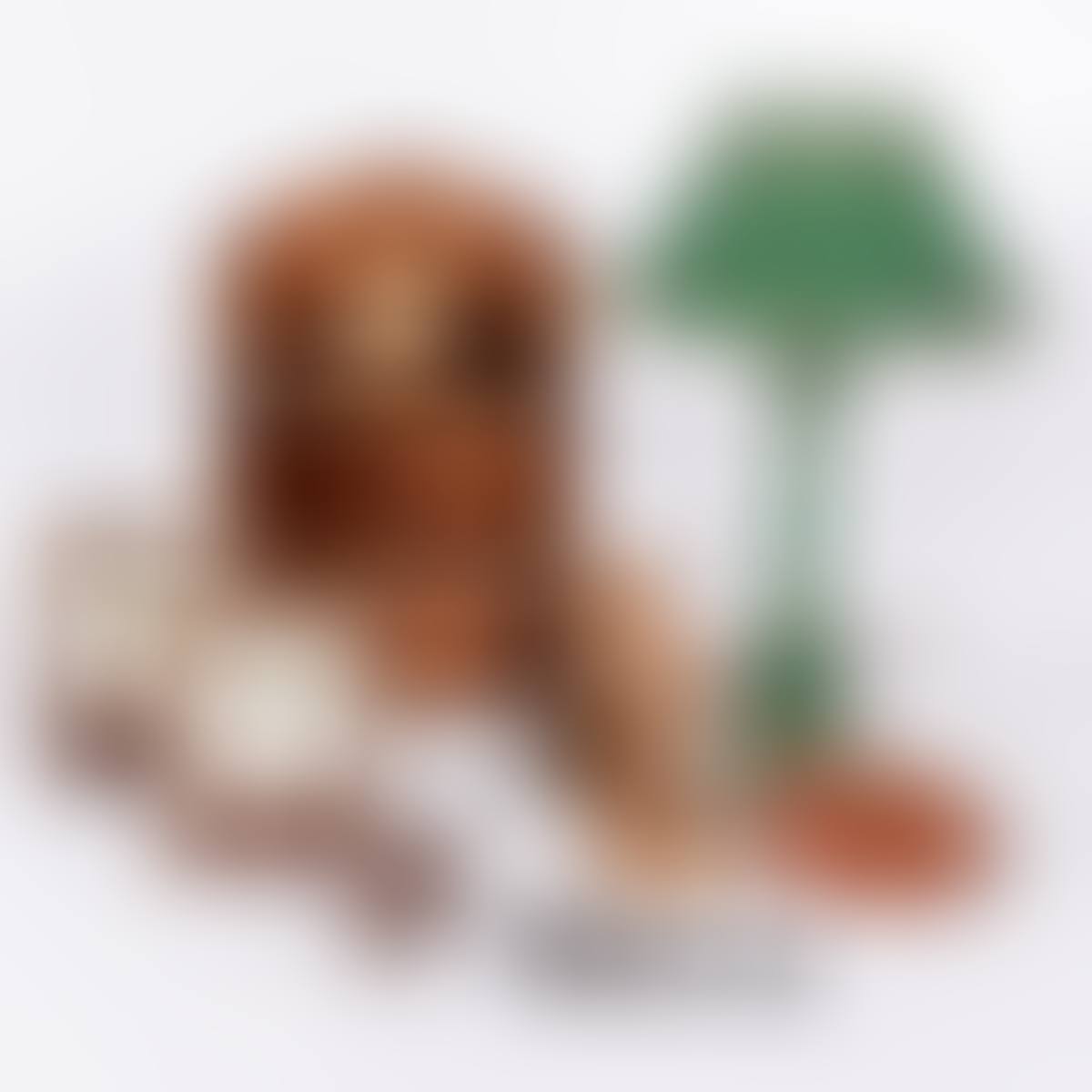 Collection of Decorative Items (preview)