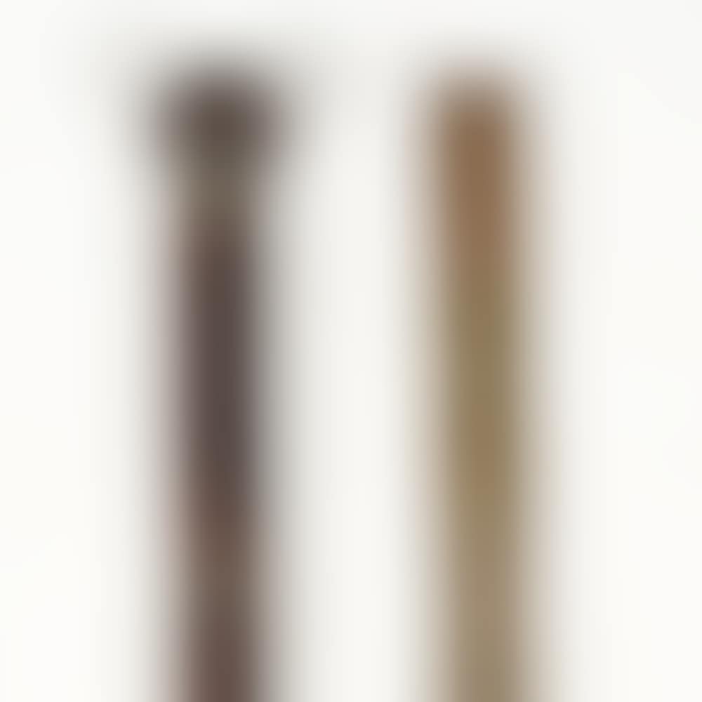2 Primitive Wood and Metal Walking Sticks (preview)